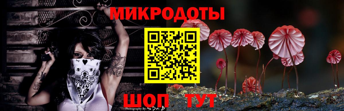 Галлюциногенные грибы мицелий  Галлюциногенные грибы Psilocybe  Череповец  Вход с VPN 